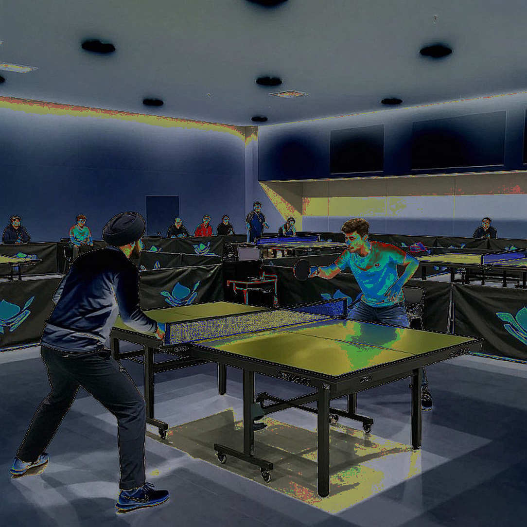 Japanese Youth Table Tennis: Reading a Gem While the Data Remains Silent Japanese Youth Table Tennis: Reading a Gem While the Data Remains Silent