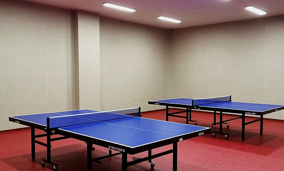 Nghịch lý thứ hạng: Vì sao bảng xếp hạng ITTF không đo được thực lực bóng bàn Việt Nam Nghịch lý thứ hạng: Vì sao bảng xếp hạng ITTF không đo được thực lực bóng bàn Việt Nam