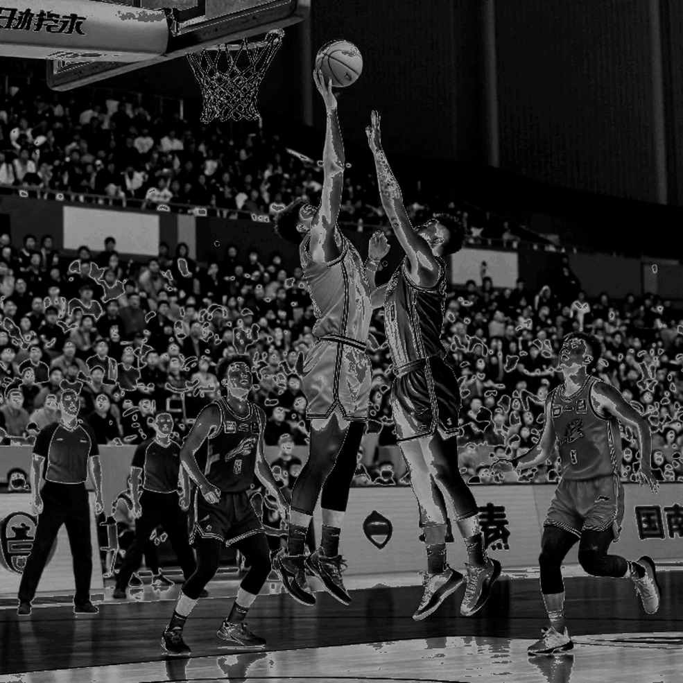 Shanghai Sharks có McGee và Russell: Chiếc nhẫn NBA và bài toán tuổi tác ở CBA