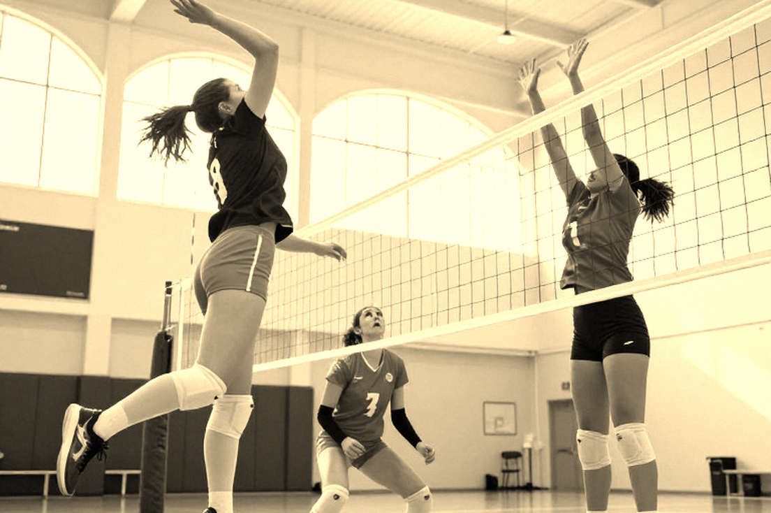AVP League 2026: Phòng thủ chuyển đổi và con số một pha chắn của Taryn Wilkerson