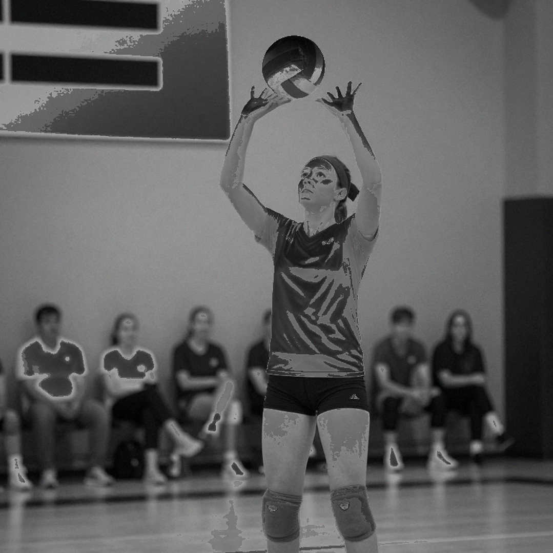 Brazil Crowned South American Champions, Darlan's 23 Points and an LA 2028 Olympic Berth That Still Needs Verification
