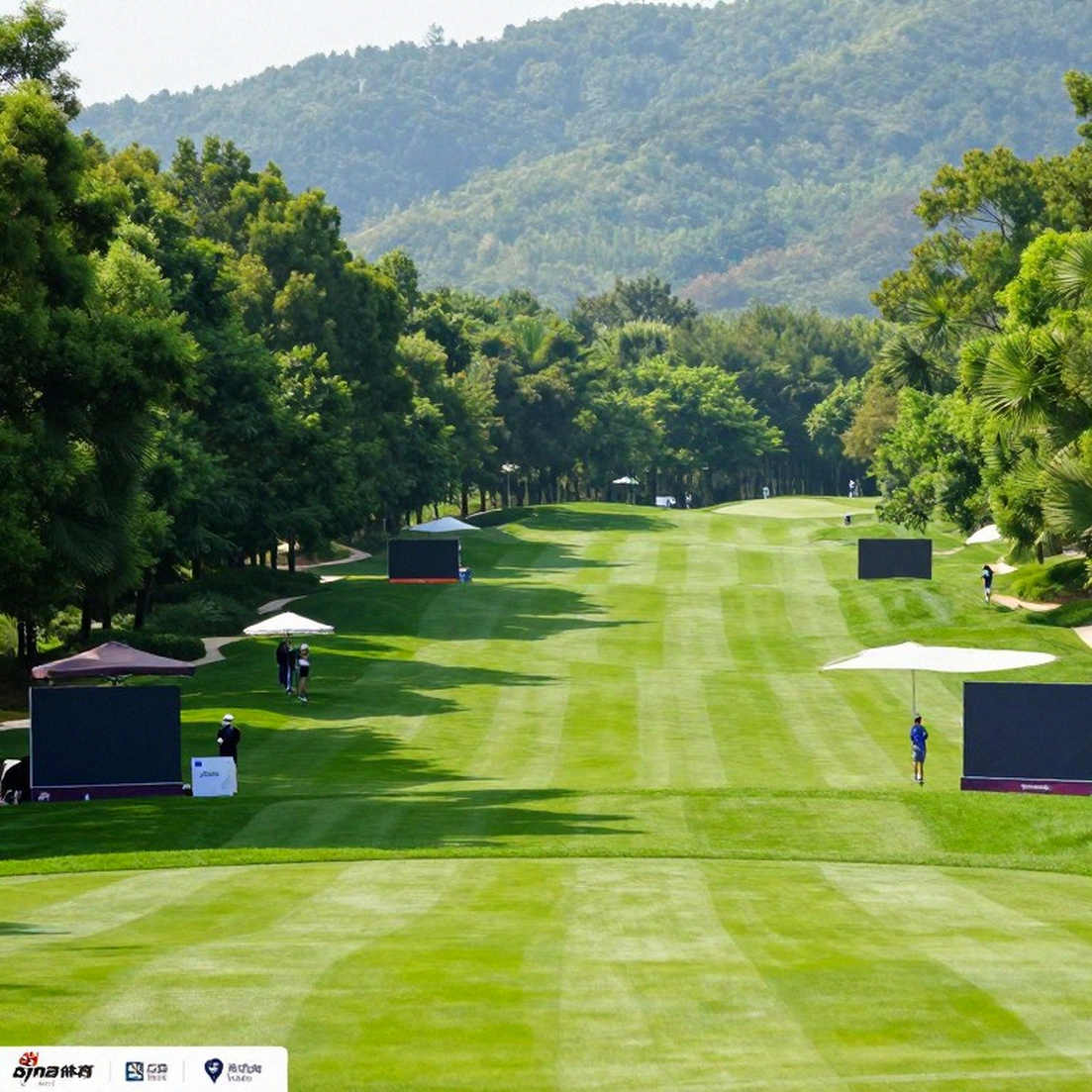 Phân tích golf bằng dữ liệu và cái bẫy của bảng số trống