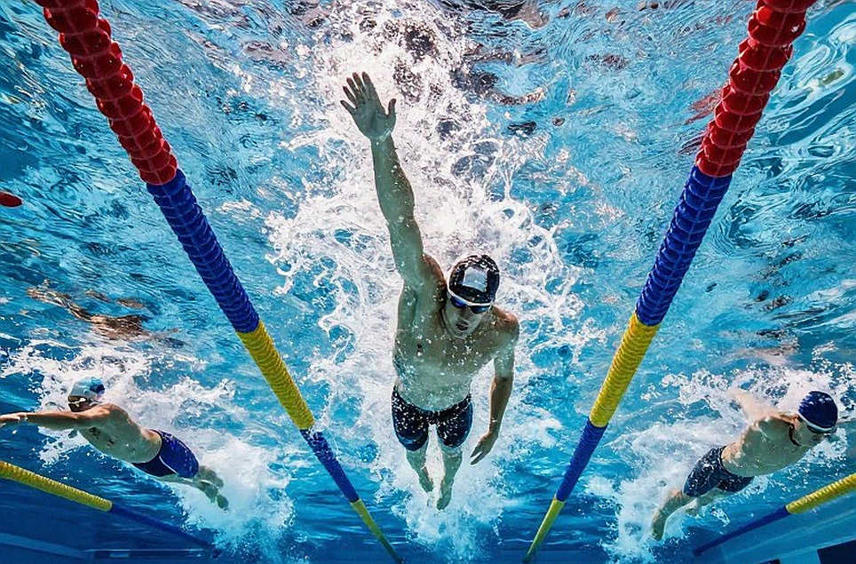 Vietnamese Swimming's Blank Map: Sixty N/A Cells and What We Actually Have Vietnamese Swimming's Blank Map: Sixty N/A Cells and What We Actually Have